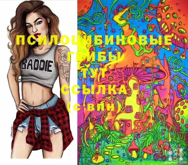 тгк Красноперекопск