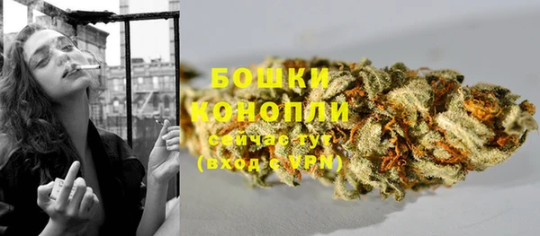 ПСИЛОЦИБИНОВЫЕ ГРИБЫ Кулебаки