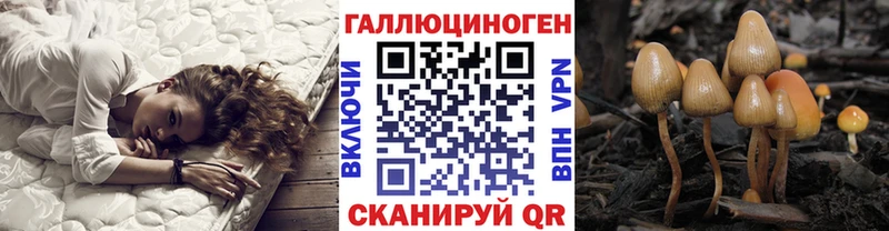 Купить  Неман  Галлюциногенные грибы мицелий 